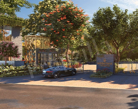 Wildernest at SP Kingstown for rent