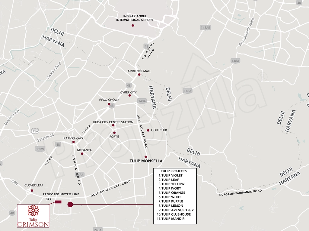 Tulip Crimson Directions