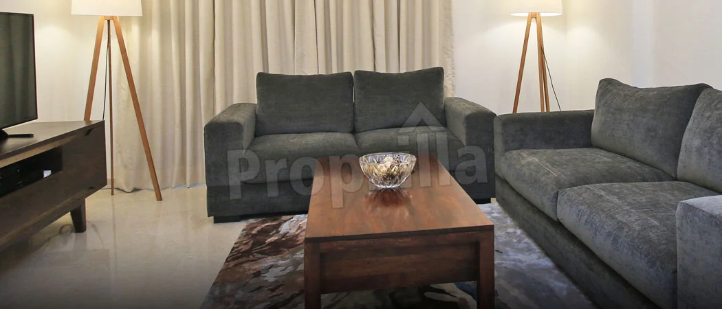 dlf park place flats price